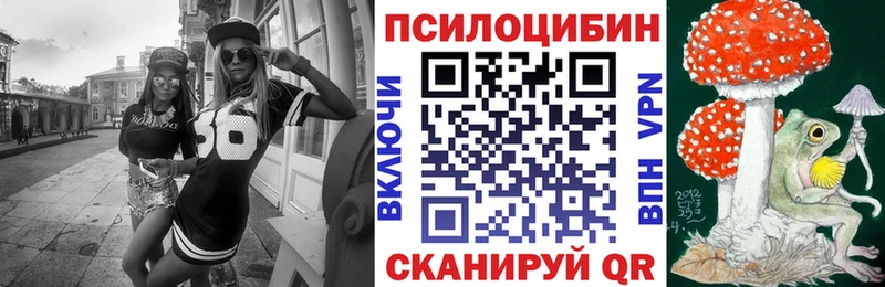 купить   Берёзовский  Галлюциногенные грибы Psilocybine cubensis 